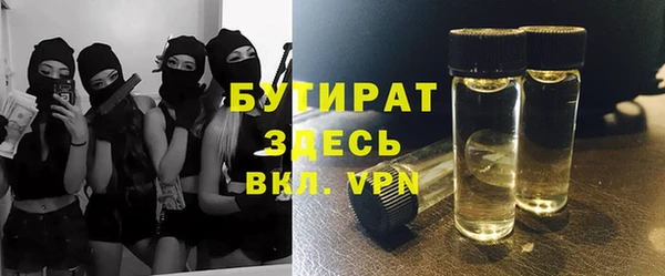 ПСИЛОЦИБИНОВЫЕ ГРИБЫ Михайлов