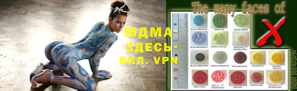 ПСИЛОЦИБИНОВЫЕ ГРИБЫ Михайлов