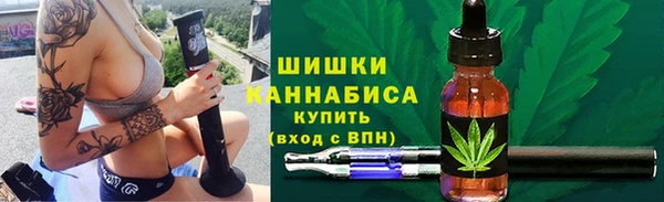 ПСИЛОЦИБИНОВЫЕ ГРИБЫ Михайлов