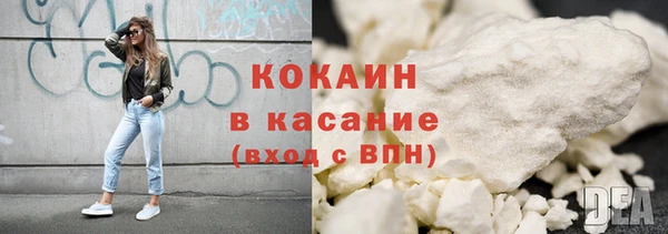 ПСИЛОЦИБИНОВЫЕ ГРИБЫ Михайлов