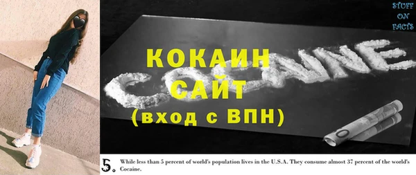 ПСИЛОЦИБИНОВЫЕ ГРИБЫ Михайлов