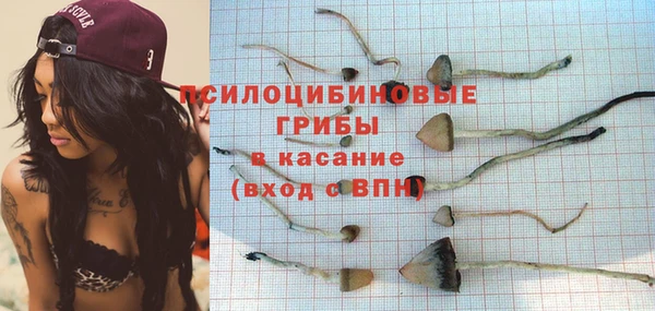 соль курить ск Архангельск