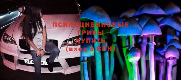 ПСИЛОЦИБИНОВЫЕ ГРИБЫ Михайлов