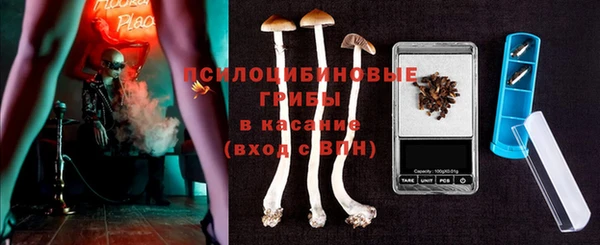 ПСИЛОЦИБИНОВЫЕ ГРИБЫ Михайлов