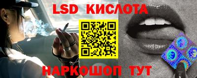 гидра Краснознаменск