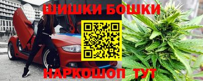 гидра Краснознаменск