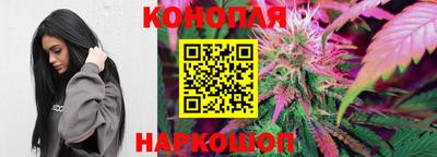 МДПВ Краснодар