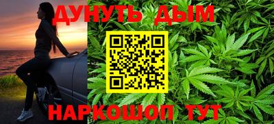 гидра Краснознаменск