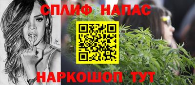гидра Краснознаменск