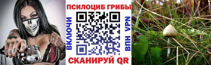 Галлюциногенные грибы мухоморы  наркотики  OMG зеркало  Хасавюрт 