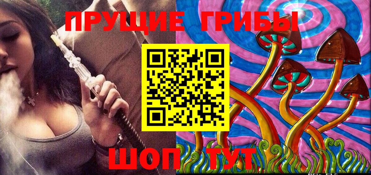 Псилоцибиновые грибы GOLDEN TEACHER  хочу   Хасавюрт  Вход с VPN  Псилоцибиновые грибы Magic Shrooms 