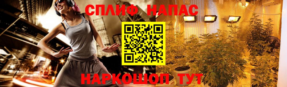 Конопля OG Kush  Вход с VPN  Хасавюрт  Каннабис Amnesia  Каннабис Amnesia  Канабис марихуана 